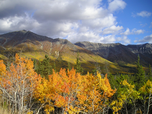 Fall Weather