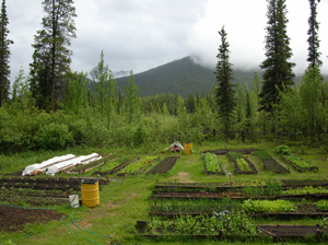 Gardens